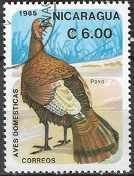 Nicaragua #1469  1985 "Pavo comun"
