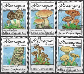 Nicaragua Mi#3001 - 3006  1990 "Hongos"