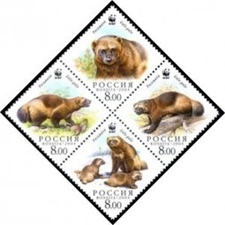 RUSIA #6857 2004 Serie completa en bloque Nuevas NH "WWF - Glotón"
