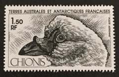 Territorios Australes y Antárticos Franceses #c65  1981 "Paloma blanca Chionis albus"