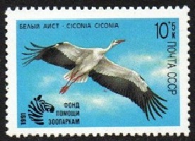 Rusia #B179  1991  Nueva NH "Cigüeña blanca, Ciconia"