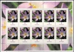 Alemania #2307 2005 Minipliego Nuevo NH "Flor de azafrán del bosque"
