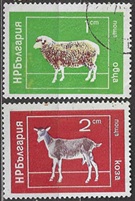 Bulgaria #2158 - 2159  1974 "Animales domésticos de granja"