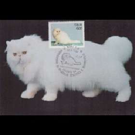 Italia  #1927  1994 Tarjeta Máxima "Gato Persa"