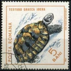 RUMANIA #1719  1965 "Tortuga griega"