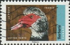 Francia #5190 2017 "Pato de Berbería"