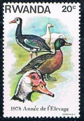 Ruanda #897 1978 Nueva NH "Patos"