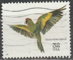 Estados Unidos 3105c 1996 "Loro de pico grueso"