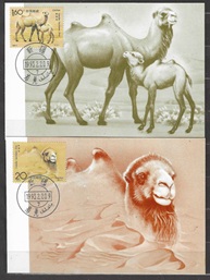 República Popular China  #2433 - 2434  1993 Serie completa en Maxicard  Nueva NH "Camellos"
