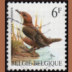 Bélgica #1440  1992 "Mirlo acuático gorgiblanco"
