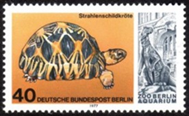 Berlin, Alemania #9N413  1977  Nueva NH "Tortuga terrestre"