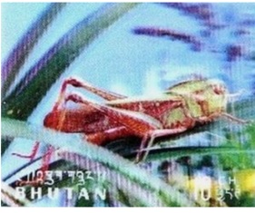 Butan #101 1969 Nueva NH 3D "Saltamontes"