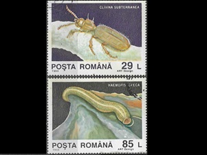 RUMANIA #3875 y #2877 1993 "Escarabajo de cueva y Sanguijuela"