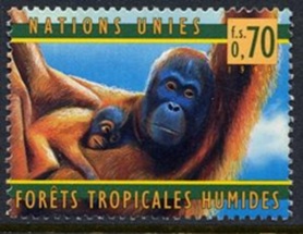 Naciones Unidas, Ginebra #323 - 324 1998 Nueva NH "Orangután de Borneo"