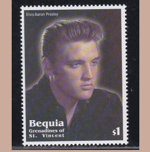 Bequia #308 2002 Nueva NH "Elvis"