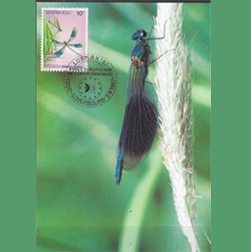 Luxemburgo #763 1987 Maxicard "Caballito del diablo"