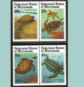 Micronesia #135a-137a  1991 Serie completa Nueva NH "Tortugas marinas"