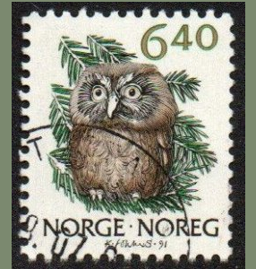 Noruega #959 1991 "Búho de Tengmalm"