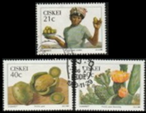 Ciskei #159 y #161 - 162 1990 "Tunas"