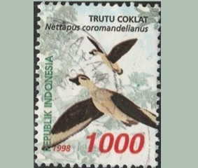 Indonesia #1796  1998 "Ganso pigmeo asiático"